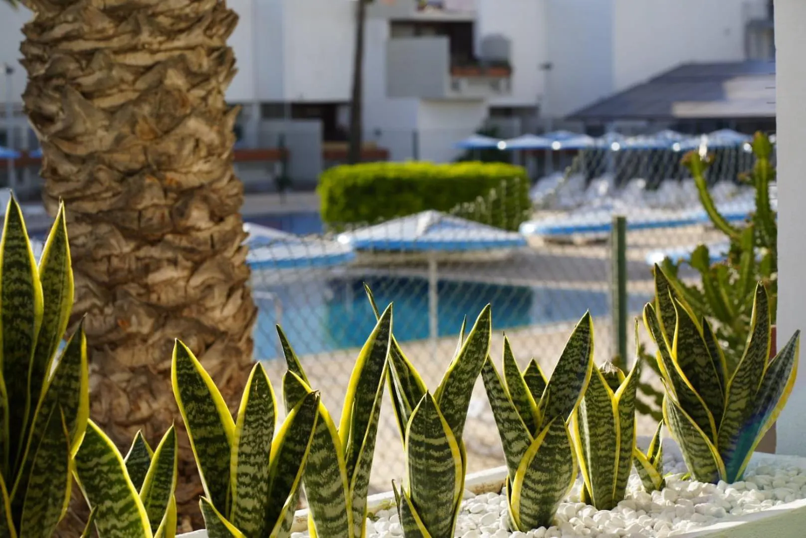 דירה Moderno Estudio Con Piscina En Arona - Ideal Para Parejas ספרד